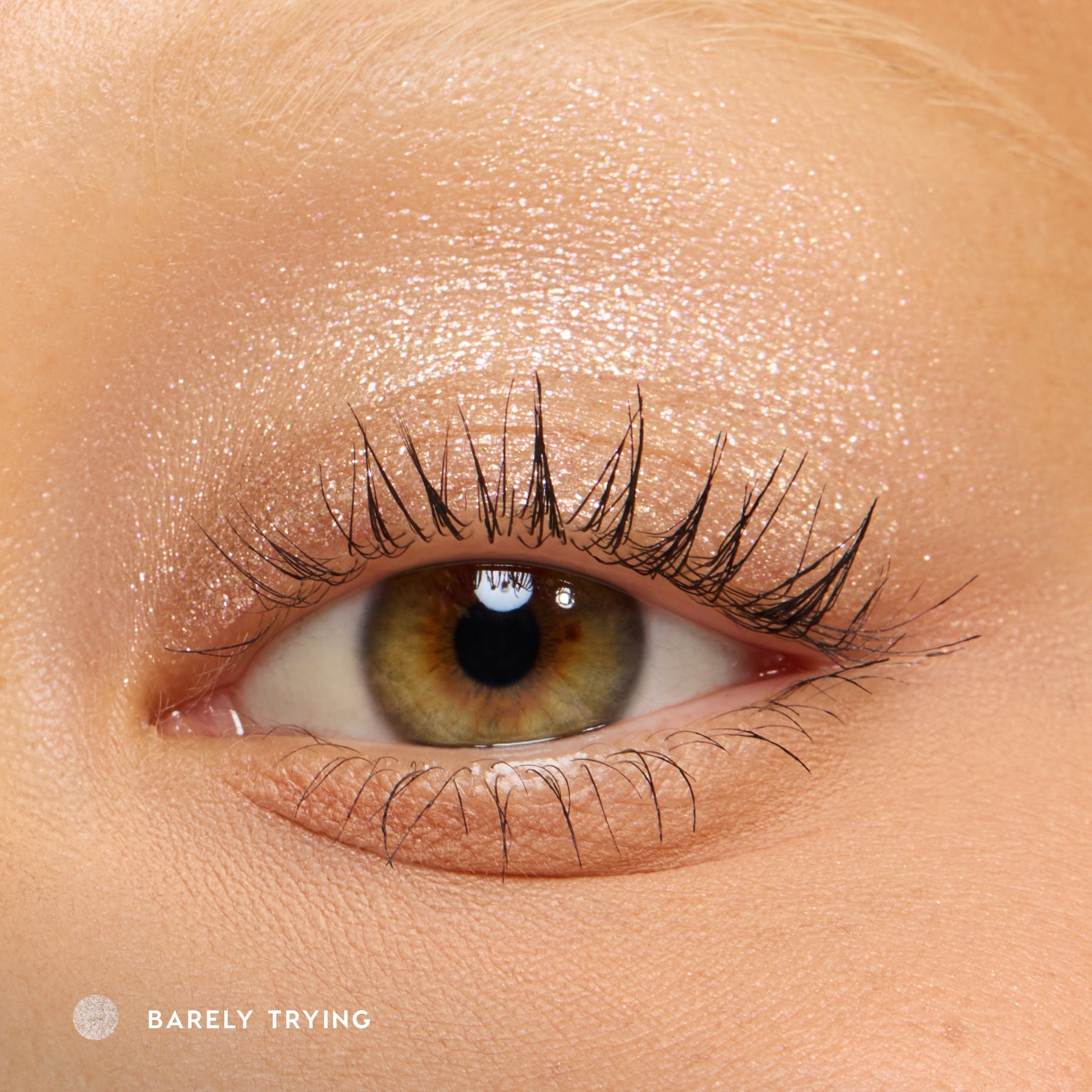 Barely Trying - Ready Look